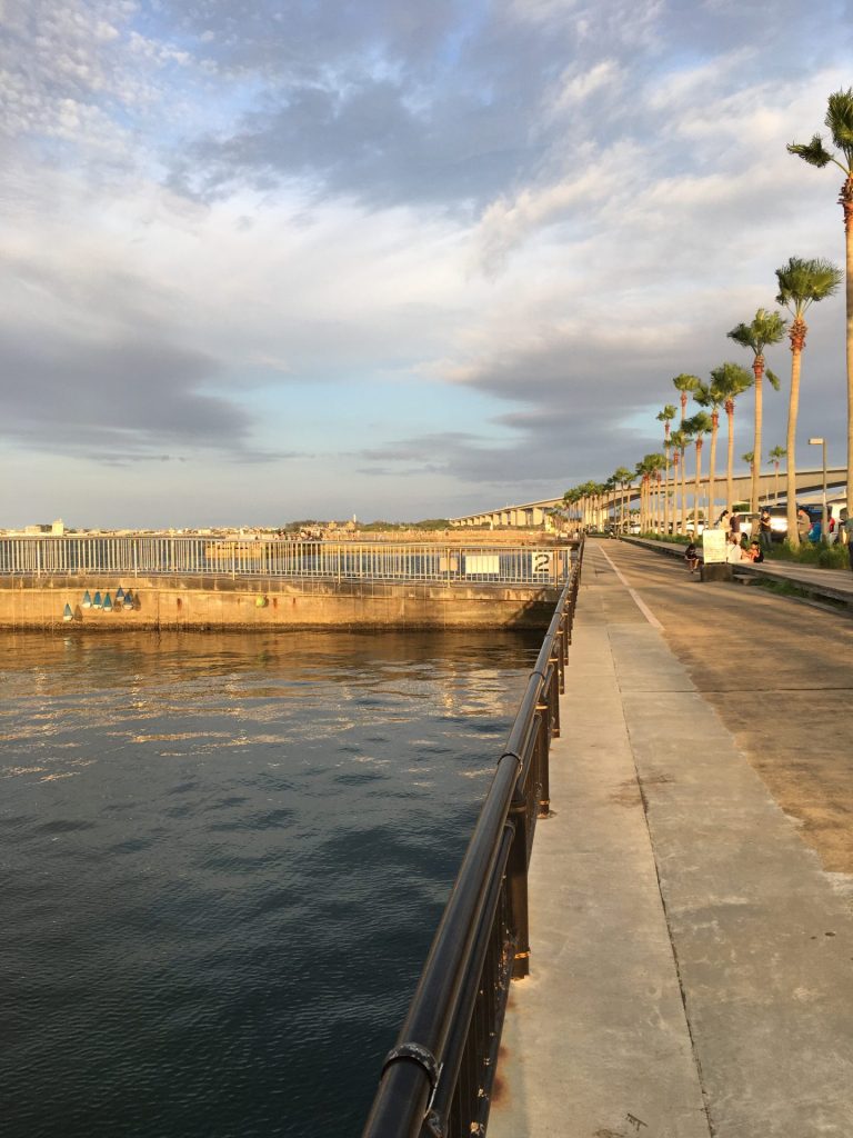 浜名湖でアジングするなら常夜灯を攻めろ おすすめのポイントも紹介 浜名湖の釣りブログ 浜名湖でアジングするなら常夜灯を攻めろ おすすめのポイントも紹介 浜名湖の釣りブログ
